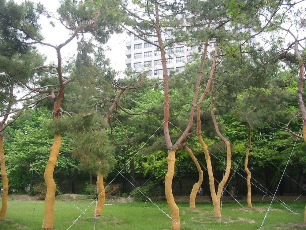 2020-01-160-6085_img