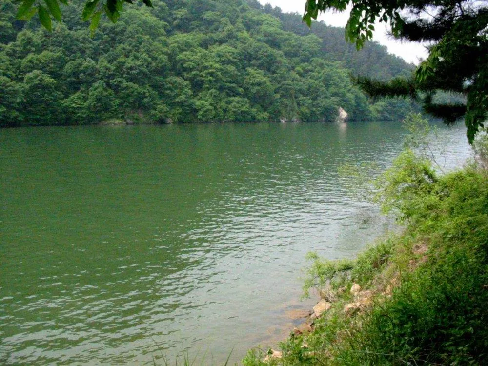 Destination: Cheongpyeong Lake / Sunday Beach - a fun excursion to the quiet life (South Korea) 2020-01-162-6226_img