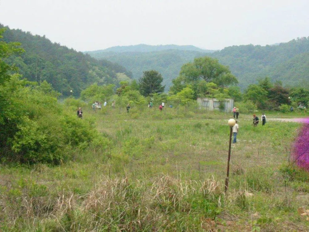 Destination: Cheongpyeong Lake / Sunday Beach - a fun excursion to the quiet life (South Korea) 2020-01-162-6234_img