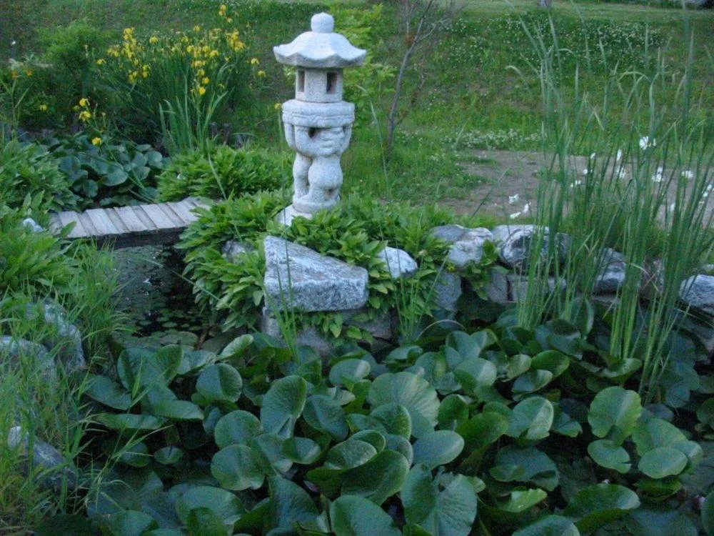 Destination: Buddhist templestay (Lotus Lantern International Meditation Center) 2020-01-163-6348_img