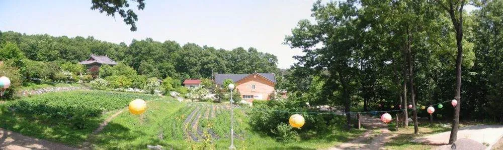 Destination: Buddhist templestay (Lotus Lantern International Meditation Center) 2020-01-buddhisttemplestaycentergrounds1