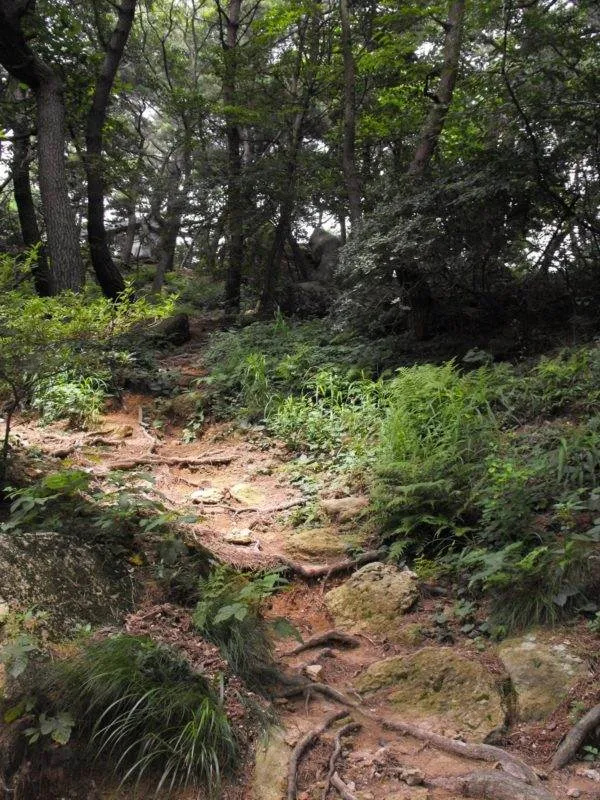 Destination: Geumgang Park (Busan, South Korea) Destination: Geumgang Park (Busan, South Korea) - South Korea -