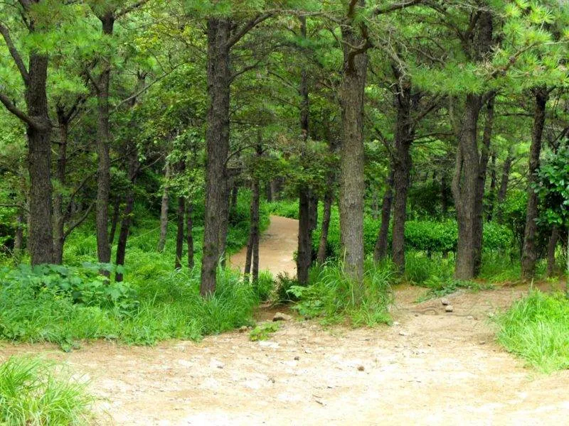 Destination: Geumgang Park (Busan, South Korea) Destination: Geumgang Park (Busan, South Korea) - South Korea -