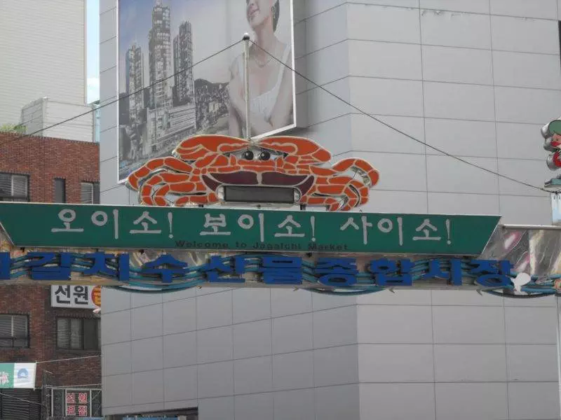 Destination: Jagalchi Fish Market (Busan, South Korea) - South Korea -