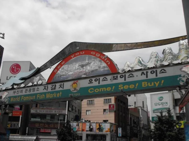 Destination: Jagalchi Fish Market (Busan, South Korea) Destination: Jagalchi Fish Market (Busan, South Korea) - South Korea -