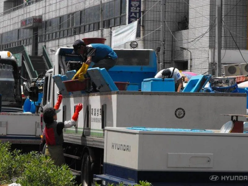 Destination: Jagalchi Fish Market (Busan, South Korea) Destination: Jagalchi Fish Market (Busan, South Korea) - South Korea -
