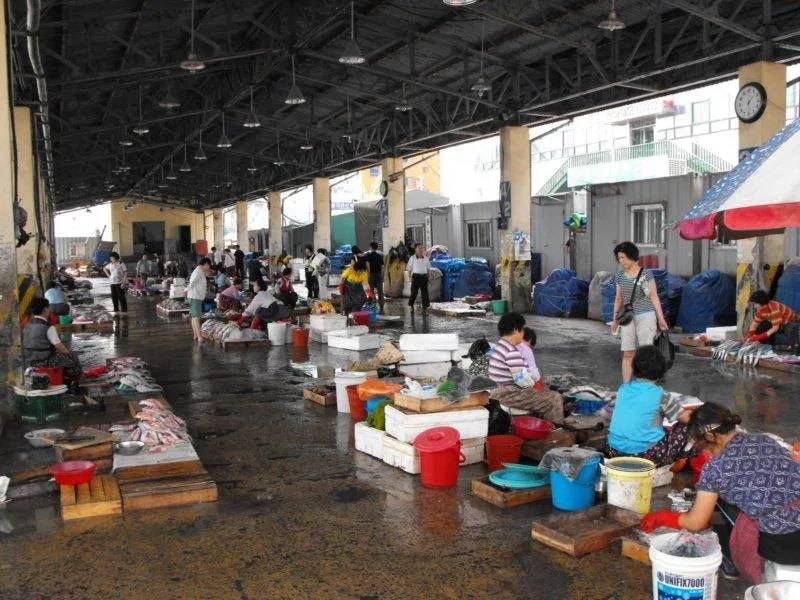 Destination: Jagalchi Fish Market (Busan, South Korea) Destination: Jagalchi Fish Market (Busan, South Korea) - South Korea -
