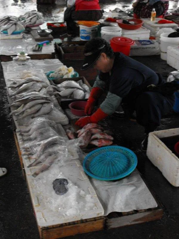 Destination: Jagalchi Fish Market (Busan, South Korea) Destination: Jagalchi Fish Market (Busan, South Korea) - South Korea -