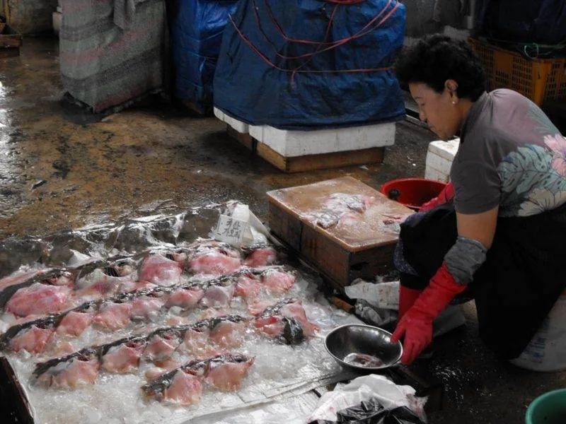 Destination: Jagalchi Fish Market (Busan, South Korea) Destination: Jagalchi Fish Market (Busan, South Korea) - South Korea -