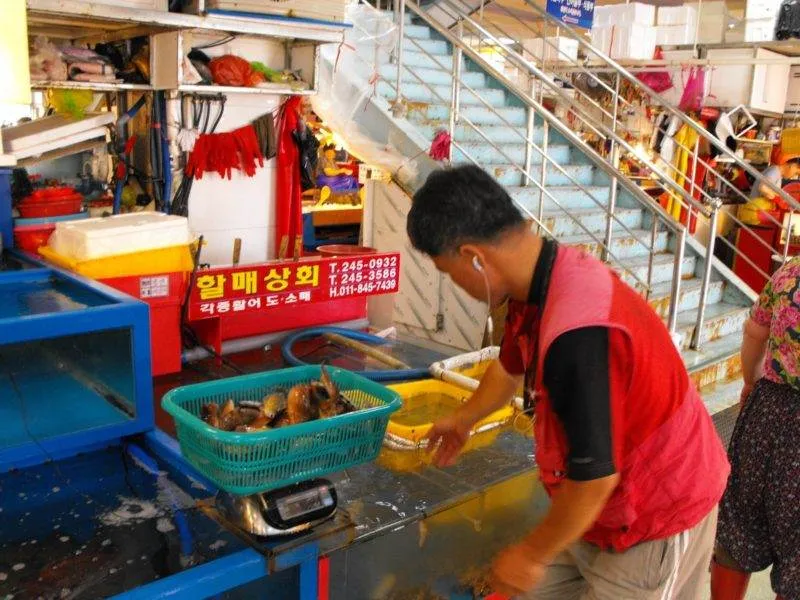 Destination: Jagalchi Fish Market (Busan, South Korea) Destination: Jagalchi Fish Market (Busan, South Korea) - South Korea -
