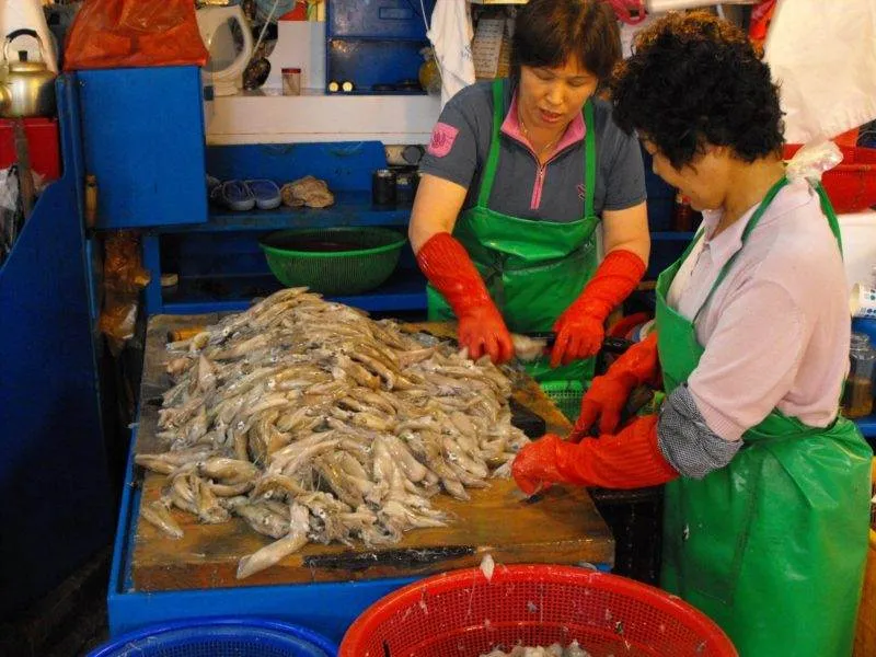 Destination: Jagalchi Fish Market (Busan, South Korea) Destination: Jagalchi Fish Market (Busan, South Korea) - South Korea -