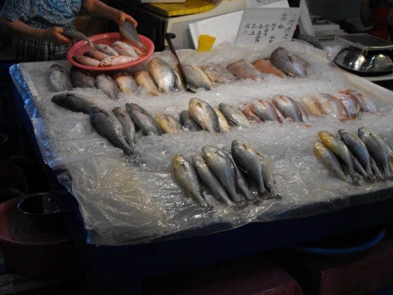 Destination: Jagalchi Fish Market (Busan, South Korea) Destination: Jagalchi Fish Market (Busan, South Korea) - South Korea -