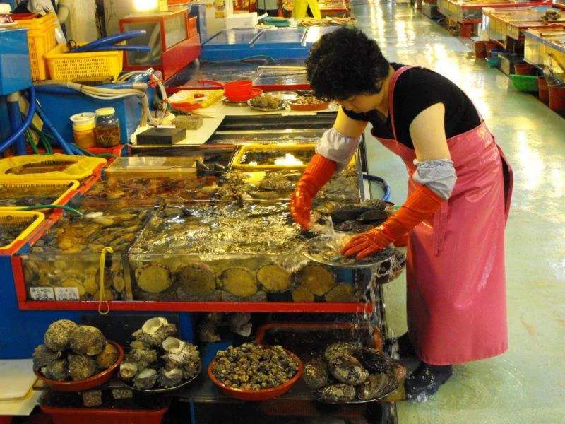 Destination: Jagalchi Fish Market (Busan, South Korea) Destination: Jagalchi Fish Market (Busan, South Korea) - South Korea -