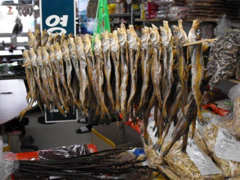 Destination: Jagalchi Fish Market (Busan, South Korea) Destination: Jagalchi Fish Market (Busan, South Korea) - South Korea -