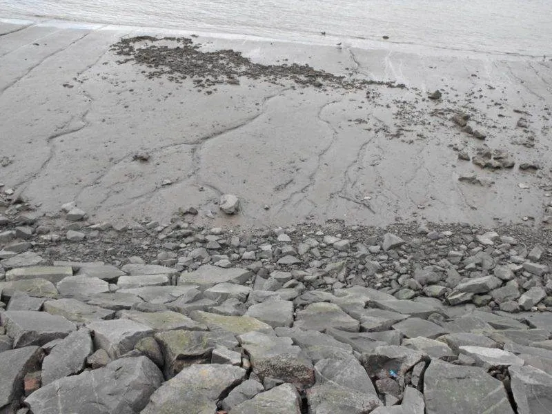 Destination: Wolmi-do - an island at the end of the subway line (Incheon, South Korea) - South Korea -