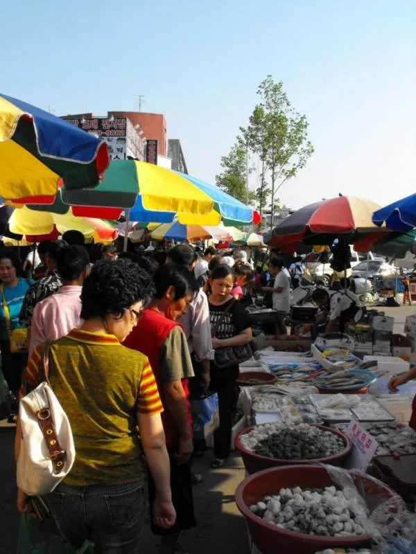 Destination: Paldal-mun / Hwaseong Fortress - an easy-to-reach UNESCO World Heritage (Suwon, South Korea) Destination: Paldal-mun / Hwaseong Fortress - an easy-to-reach UNESCO World Heritage (Suwon, South Korea) - South Korea -