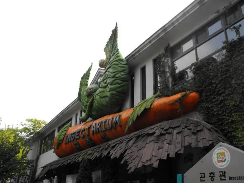 Destination: Seoul Grand Park (part 3) - South Korea -