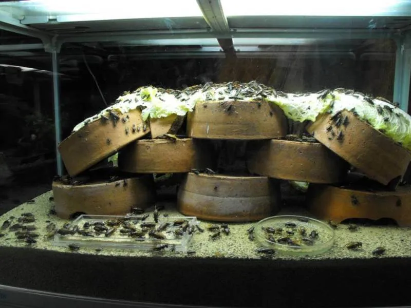 Destination: Seoul Grand Park (part 3) - South Korea -