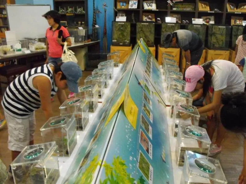 Destination: Seoul Grand Park (part 3) - South Korea -