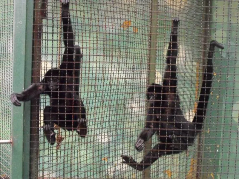 Destination: Seoul Grand Park (part 3) - South Korea -