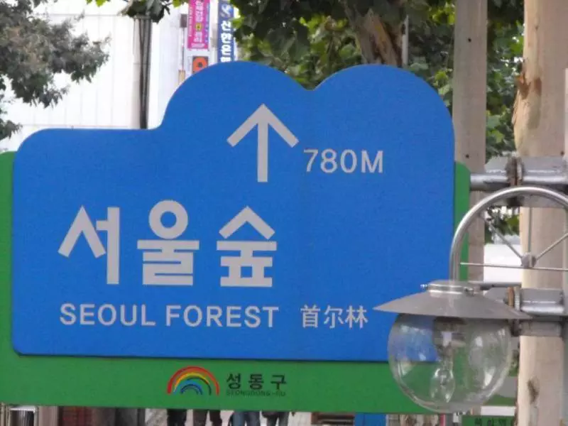 Destination: Seoul Forest / Seoul drum festival (South Korea) - Festivals, South Korea -