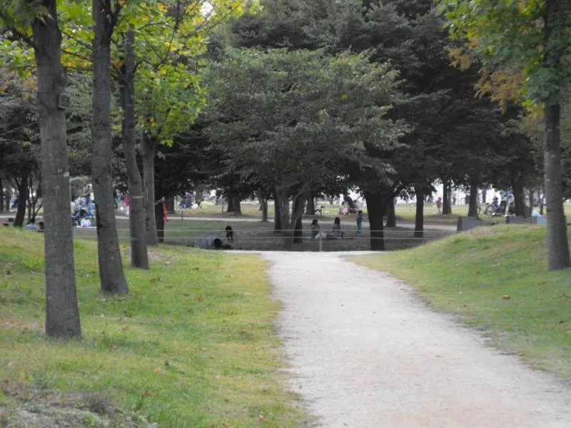 Destination: Seoul Forest / Seoul drum festival (South Korea) Destination: Seoul Forest / Seoul drum festival (South Korea) - Festivals, South Korea -