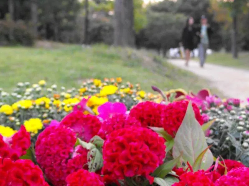 Destination: Seoul Forest / Seoul drum festival (South Korea) Destination: Seoul Forest / Seoul drum festival (South Korea) - Festivals, South Korea -