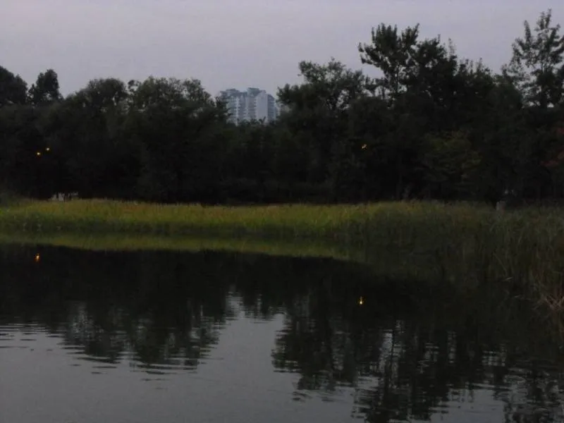 Destination: Seoul Forest / Seoul drum festival (South Korea) Destination: Seoul Forest / Seoul drum festival (South Korea) - Festivals, South Korea -