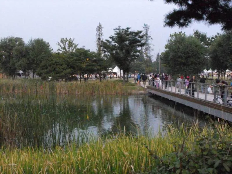 Destination: Seoul Forest / Seoul drum festival (South Korea) Destination: Seoul Forest / Seoul drum festival (South Korea) - Festivals, South Korea -