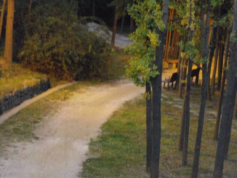 Destination: Seoul Forest / Seoul drum festival (South Korea) Destination: Seoul Forest / Seoul drum festival (South Korea) - Festivals, South Korea -