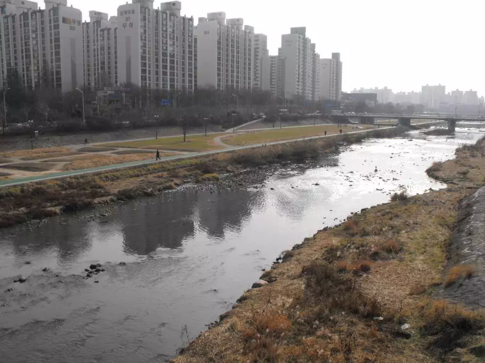 Destination: an exploration of Bundang - South Korea -