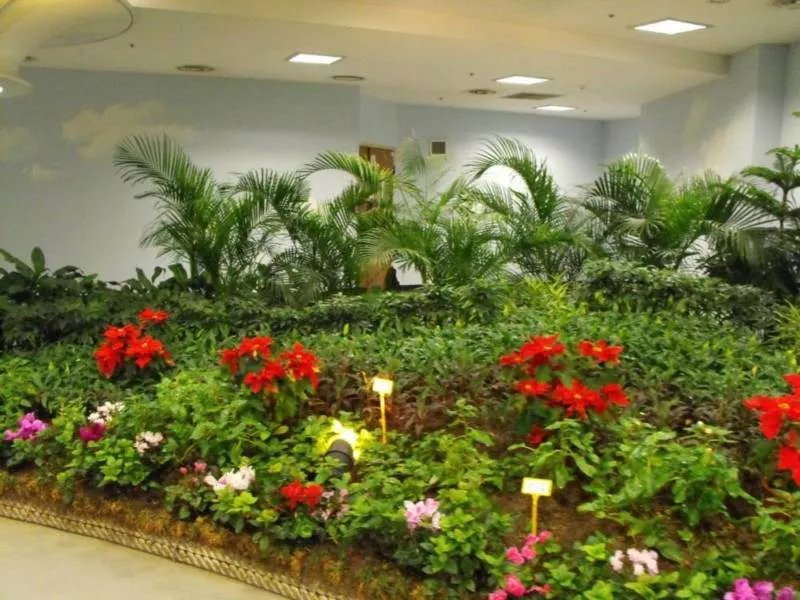 Destination: Lotte World - South Korea's biggest indoor amusement park (Seoul, South Korea) - South Korea -