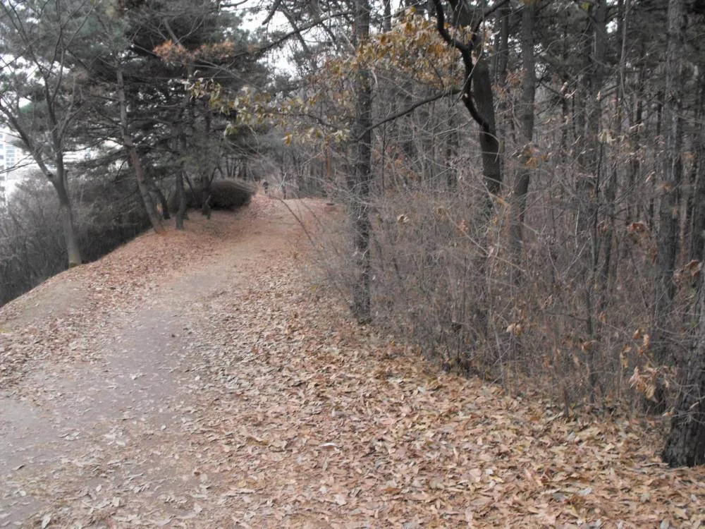 Destination: an exploration of Bundang - South Korea -