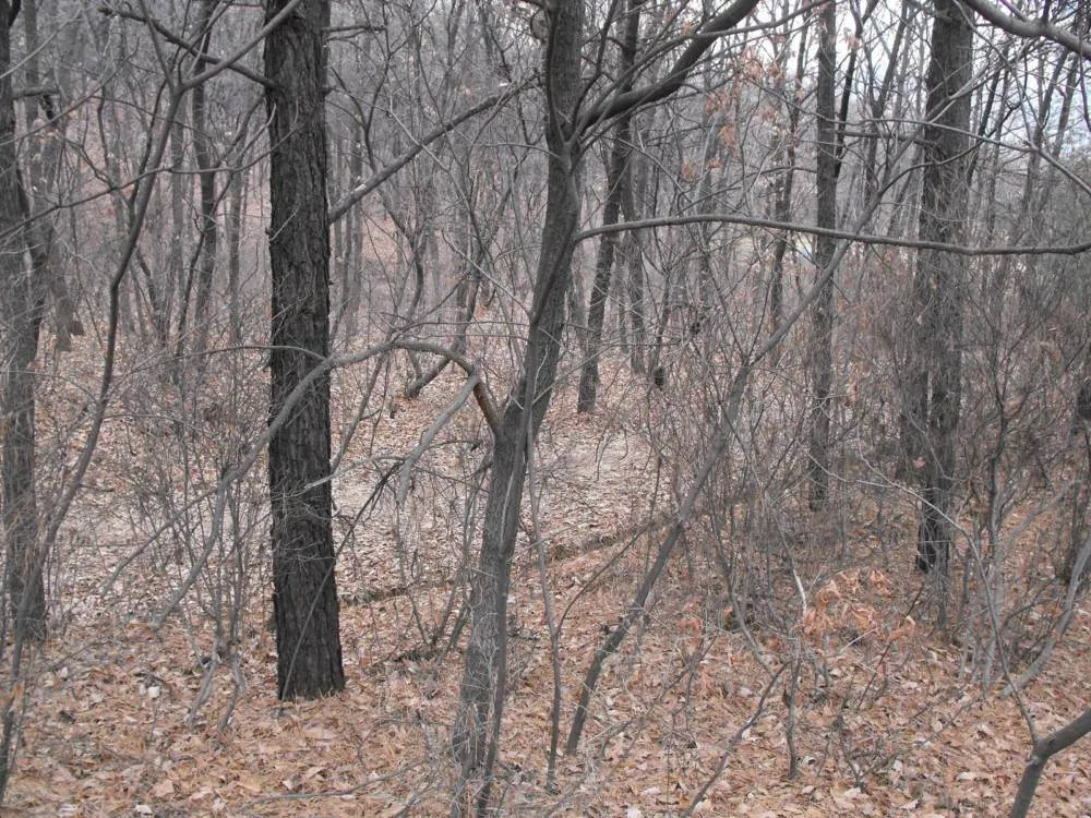 Destination: an exploration of Bundang - South Korea -