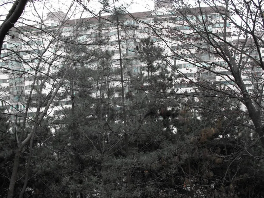 Destination: an exploration of Bundang - South Korea -