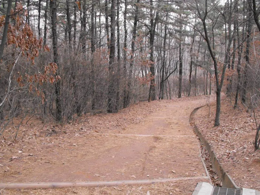 Destination: an exploration of Bundang - South Korea -