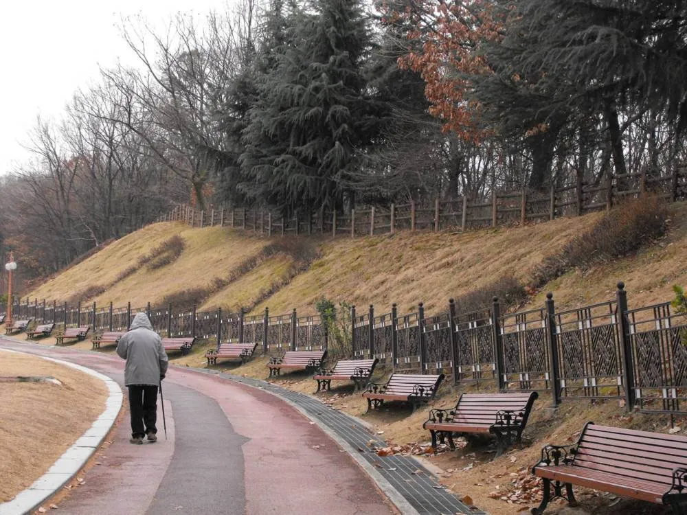 Destination: an exploration of Bundang - South Korea -