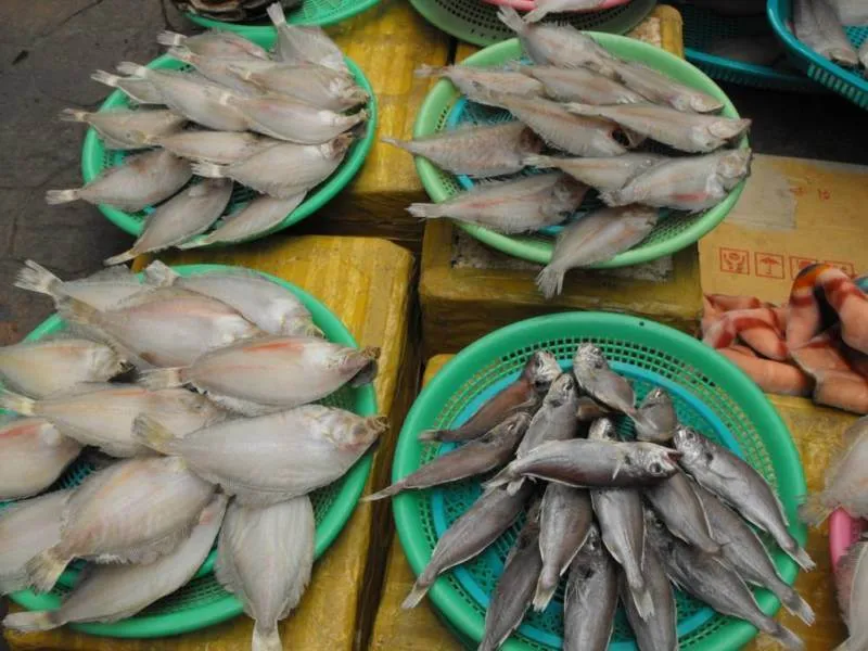 Destination: Tongyeong - a southern seaside town celebrating plenty of history (South Korea) - South Korea -