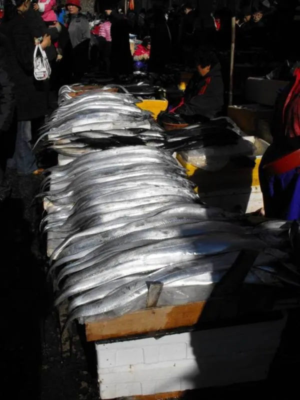 Destination: Tongyeong - a southern seaside town celebrating plenty of history (South Korea) - South Korea -