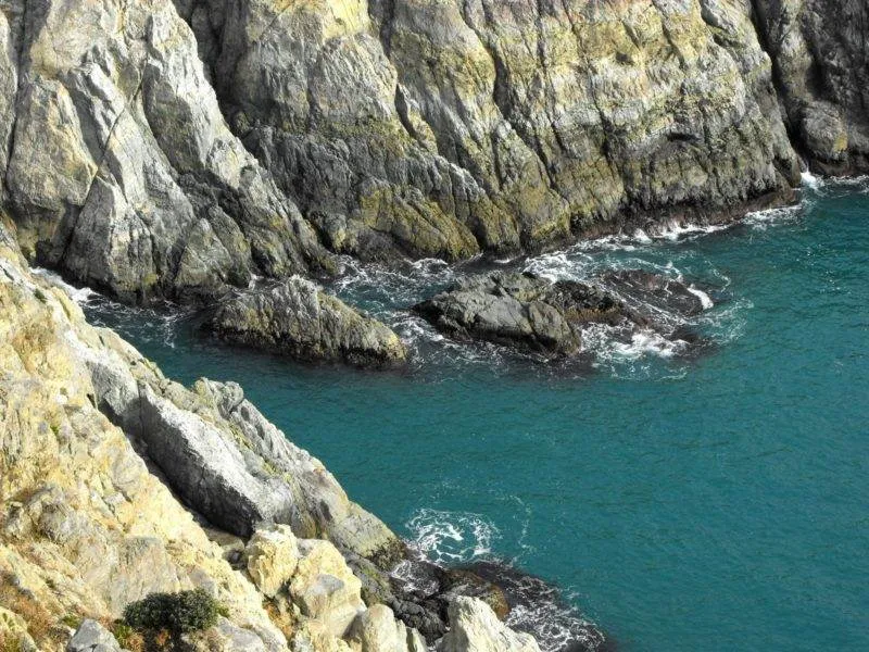 Destination: Geoje-do / Oedo Paradise Island - a gorgeous destination in South Korea Destination: Geoje-do / Oedo Paradise Island - a gorgeous destination in South Korea - South Korea -