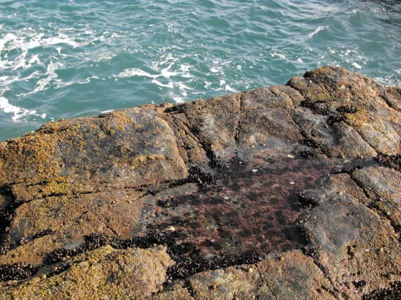 Destination: Taejongdae Park - the sea, natural wonders, and a Buddhist temple (Busan, South Korea) Destination: Taejongdae Park - the sea, natural wonders, and a Buddhist temple (Busan, South Korea) - South Korea -
