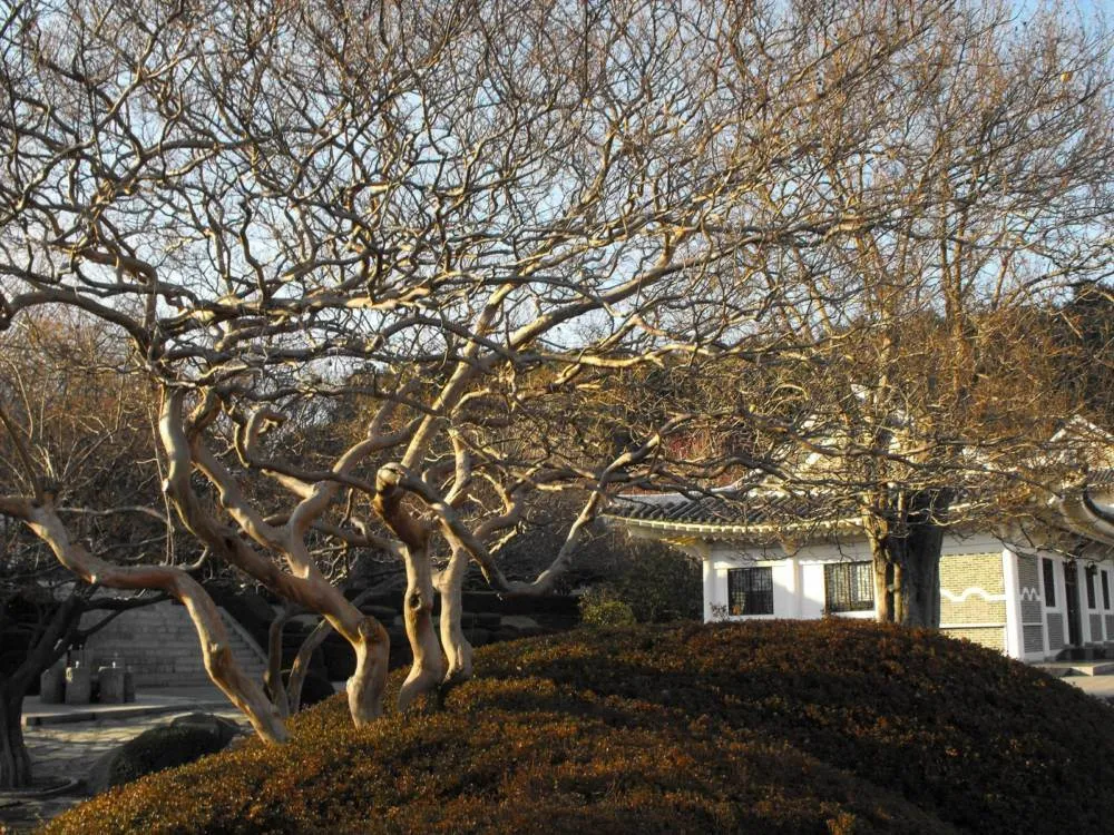 Destination: Chungnyeolsa (Busan, South Korea) - South Korea -