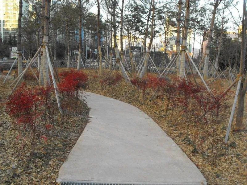 Destination: Daejeon, South Korea - South Korea -