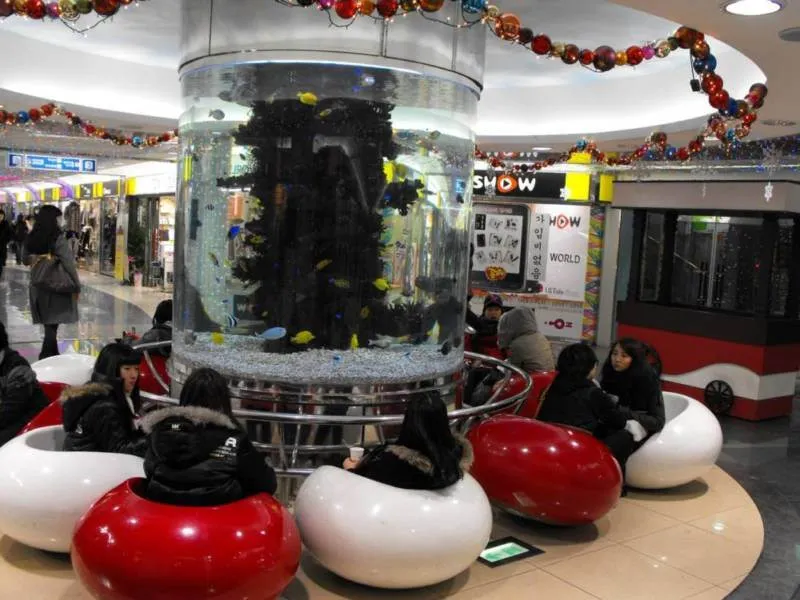 Exploring rural Korea: Jeungpyeong, Cheongju, and a winter wonderland (South Korea) - South Korea -