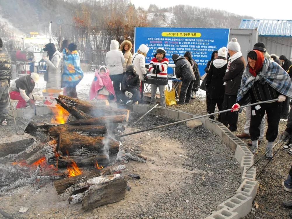 Destination: Pyeongchang Ice / Trout Festival (South Korea) Destination: Pyeongchang Ice / Trout Festival (South Korea) - Festivals, South Korea -