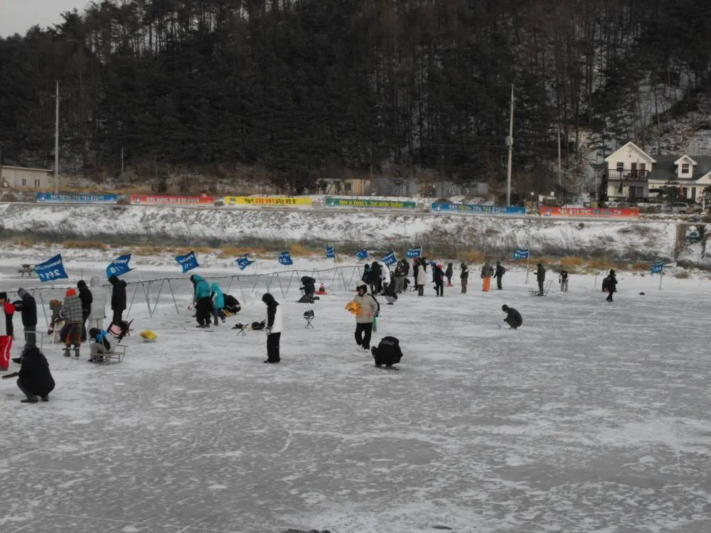 Destination: Pyeongchang Ice / Trout Festival (South Korea) Destination: Pyeongchang Ice / Trout Festival (South Korea) - Festivals, South Korea -