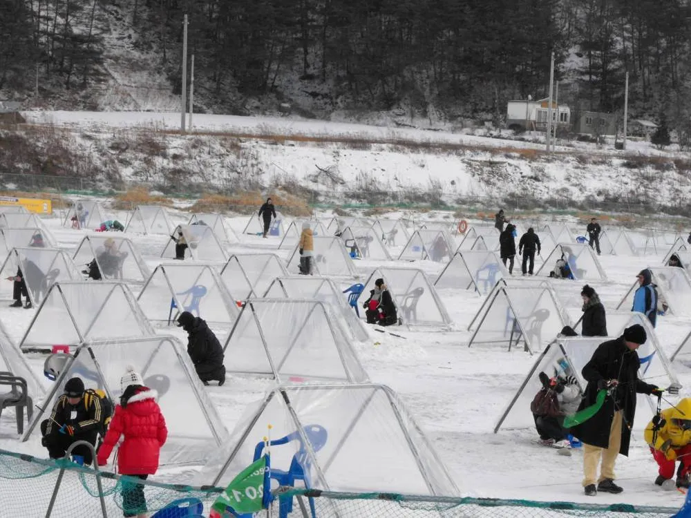 Destination: Pyeongchang Ice / Trout Festival (South Korea) Destination: Pyeongchang Ice / Trout Festival (South Korea) - Festivals, South Korea -