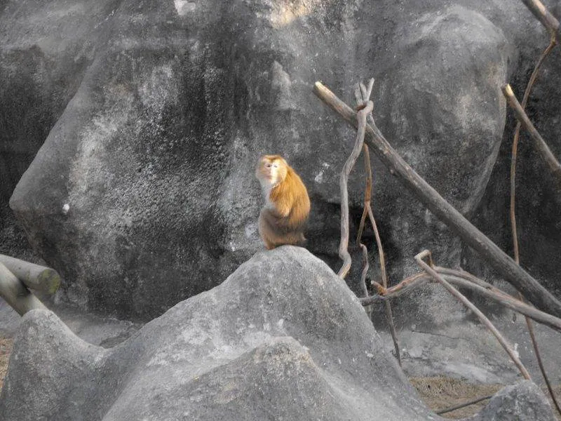 Destination: Children's Grand Park (Seoul, South Korea) Destination: Children's Grand Park (Seoul, South Korea) - South Korea -