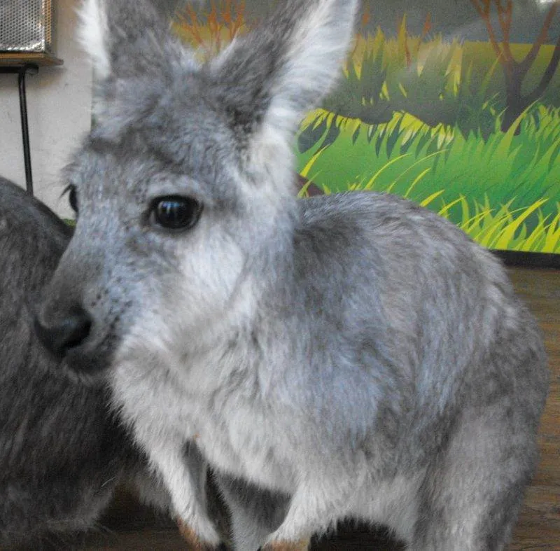 Destination: Children's Grand Park (Seoul, South Korea) Destination: Children's Grand Park (Seoul, South Korea) - South Korea -