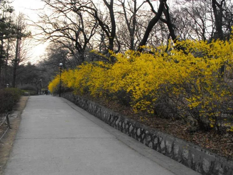 Destination: Olympic Park, part 2 (Seoul, South Korea) - South Korea -